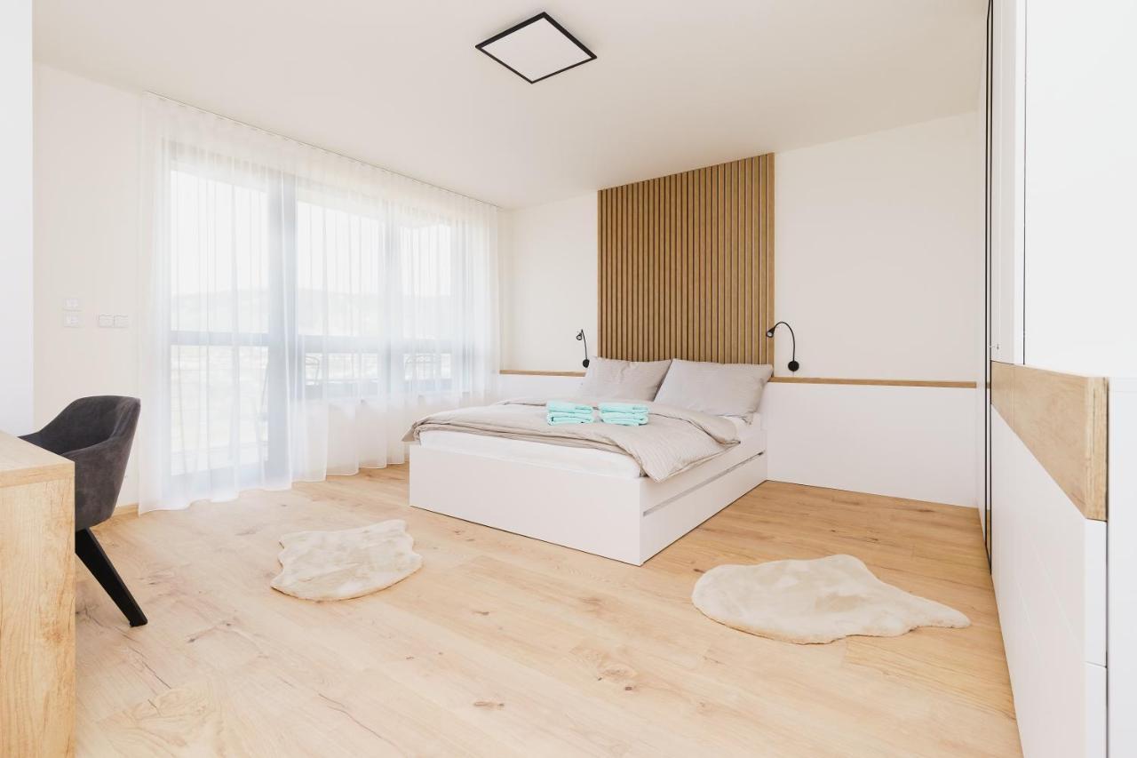 Apartment Bella Vista By Mountain Ways Loučná pod Klínovcem エクステリア 写真